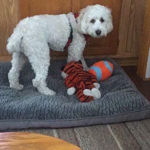 Meet your Posher, Marion